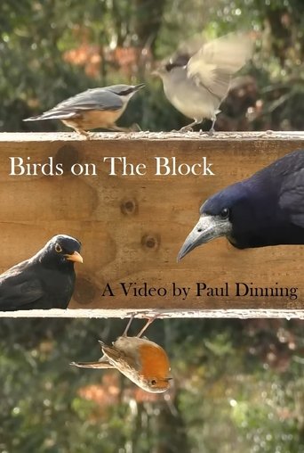 Poster of Birds on The Block
