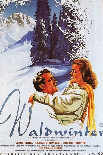 Poster of Waldwinter