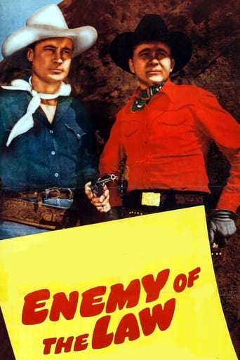 Poster of Enemy of the Law