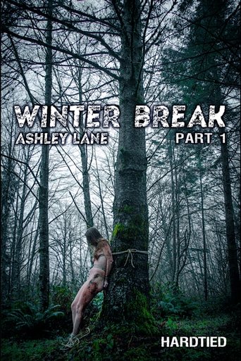 Winter Break Poster of Winter Break