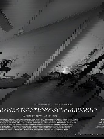 Poster of Investigations of a Breakup