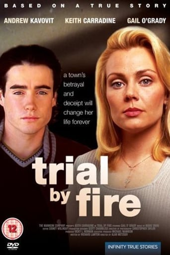 Poster of Trial by Fire