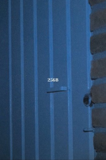 256B Poster of 256B