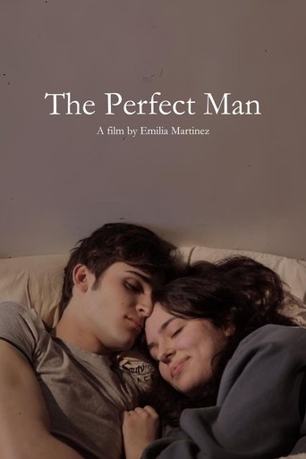 The Perfect Man Poster of The Perfect Man