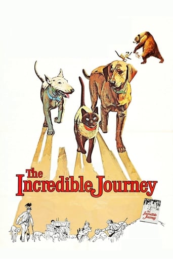 Poster of The Incredible Journey