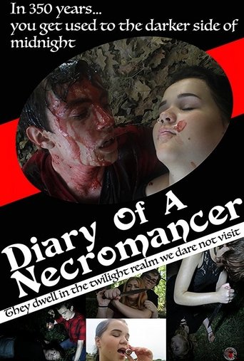 Diary of a Necromancer Poster of Diary of a Necromancer