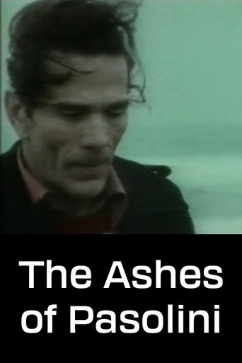The Ashes of Pasolini Poster of The Ashes of Pasolini