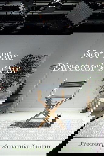 Poster of Not the Director's Cut