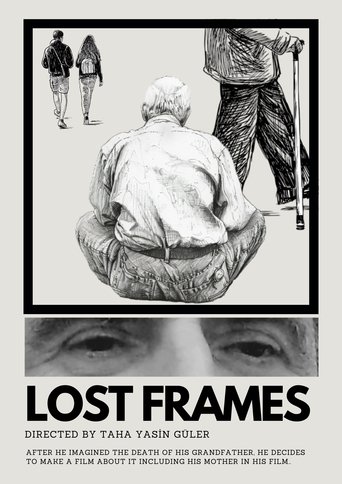 Poster of Lost Frames