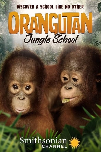 Poster of Orangutan Jungle School