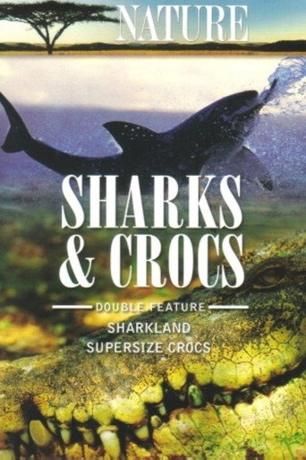 Poster of Sharkland