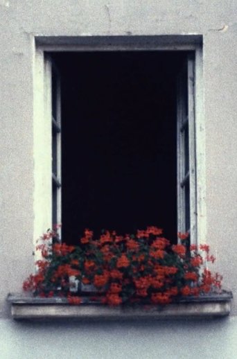 to open a window Poster of to open a window
