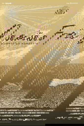 Poster of Frei Damião o Santo do Nordeste