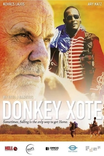 Poster of Donkey Xote