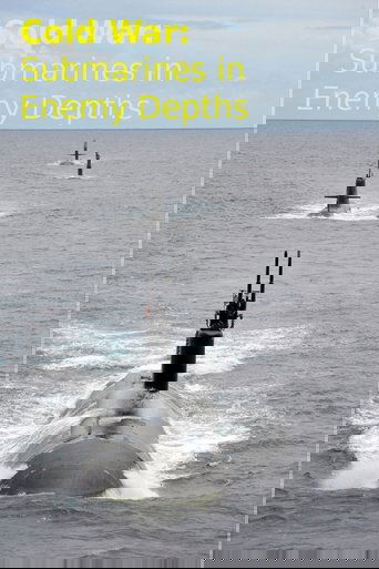 Poster of Cold War: Submarines In Enemy Depths