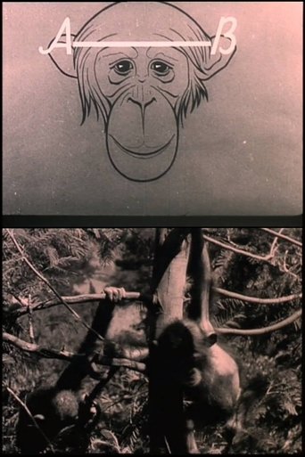 The Man and the Monkey Poster of The Man and the Monkey