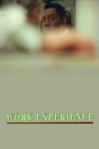 Poster of Work Experience