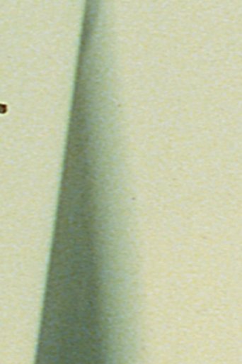 No Night No Day Poster of No Night No Day