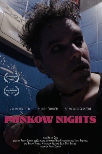 Poster of Punkow Nights