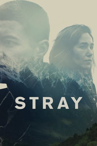 Poster of Stray