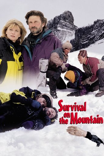 Poster of Survival on the Mountain
