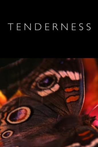 Tenderness Poster of Tenderness