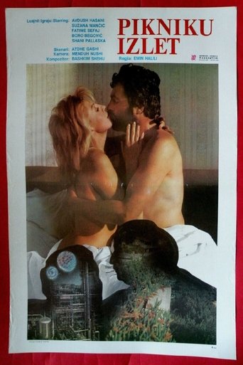 The Picnic Poster of The Picnic