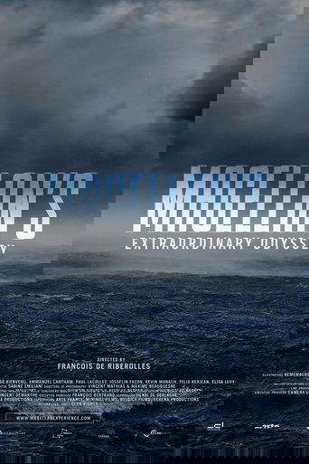 Poster of L'Incroyable Périple de Magellan
