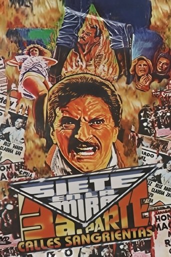 Poster of Siete en la Mira 3