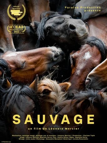 Sauvage Poster of Sauvage