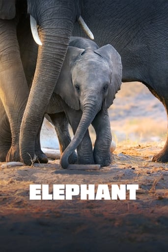 Poster of Elephant