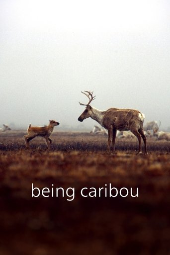 Poster of Being Caribou