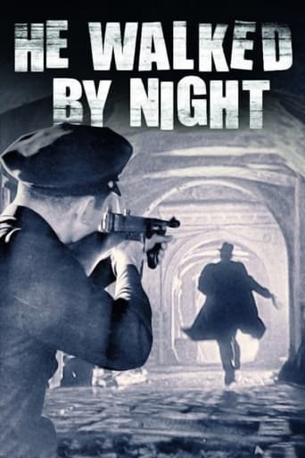 Poster of He Walked by Night