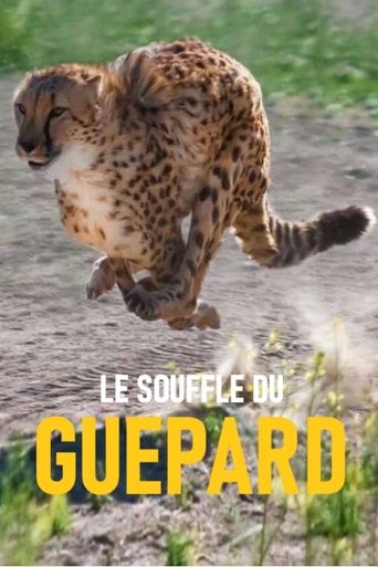 Le souffle du guépard Poster of Le souffle du guépard