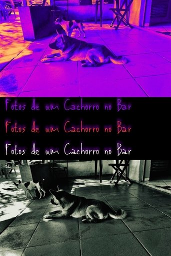 Pictures of a Dog at the Bar Poster of Pictures of a Dog at the Bar