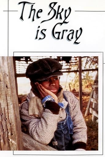 Poster of The Sky Is Gray