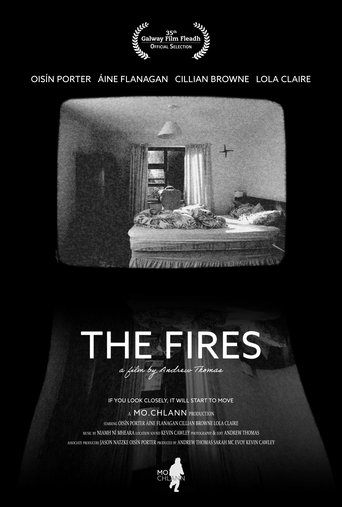 Poster of The Fires