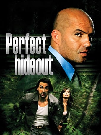 Poster of Perfect Hideout