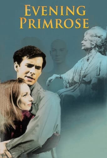 Poster of Evening Primrose