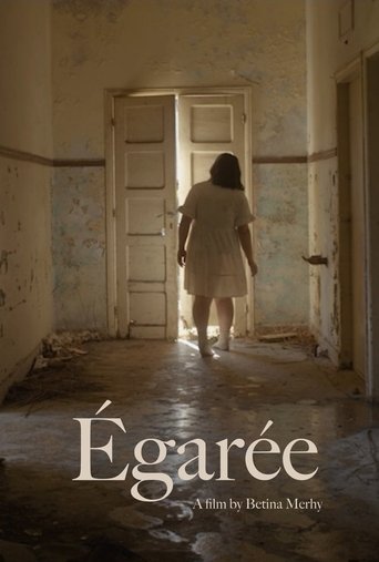 Poster of Égarée