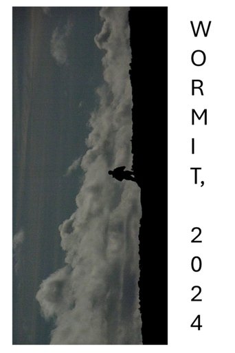 Poster of WORMIT, 2024