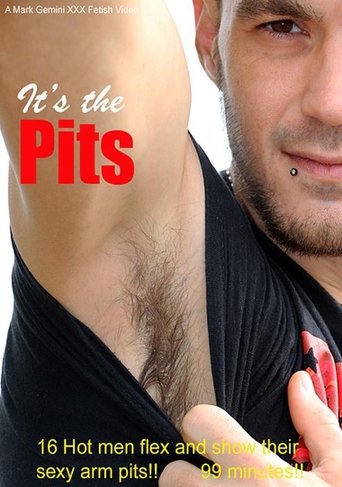 Poster of It's the Pits