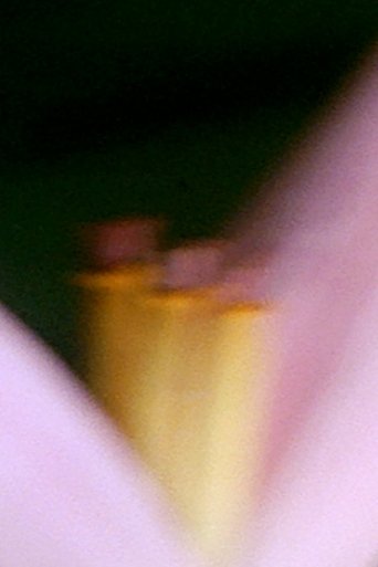 In the Era Poster of In the Era