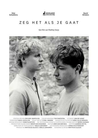 Poster of Zeg het als je gaat