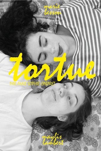 Poster of Tortue