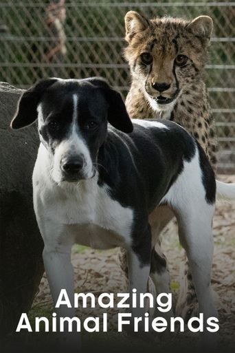 Amazing Animal Friends Poster of Amazing Animal Friends