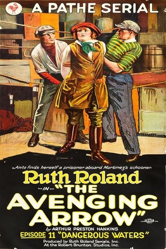 Poster of The Avenging Arrow