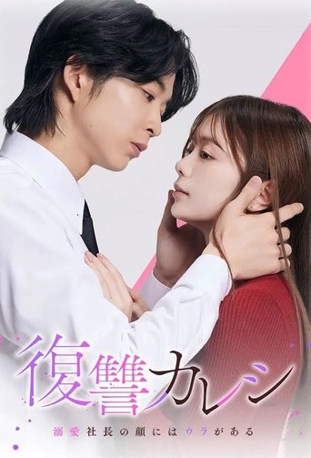Poster of Revenge Boyfriend