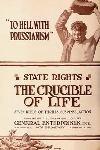 Poster of The Crucible of Life