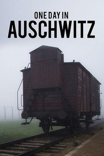 Poster of One Day in Auschwitz